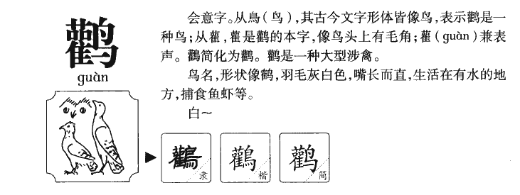 鹳字五行属什么-鹳字起名的寓意-鹳字意思