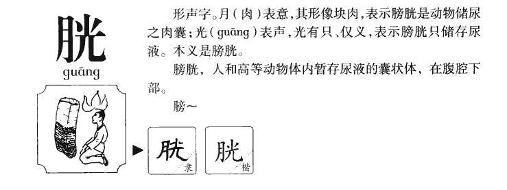 胱字五行属什么-胱字起名的寓意-胱字意思