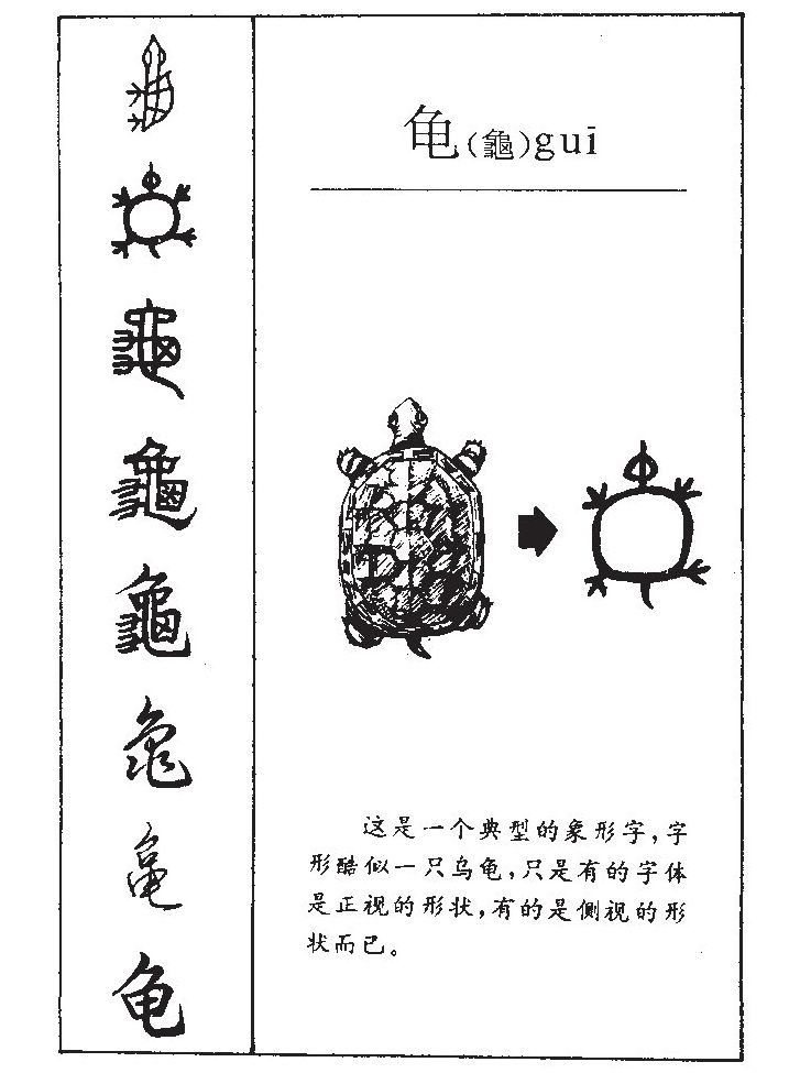 龟字五行属什么-龟字起名的寓意-龟字意思