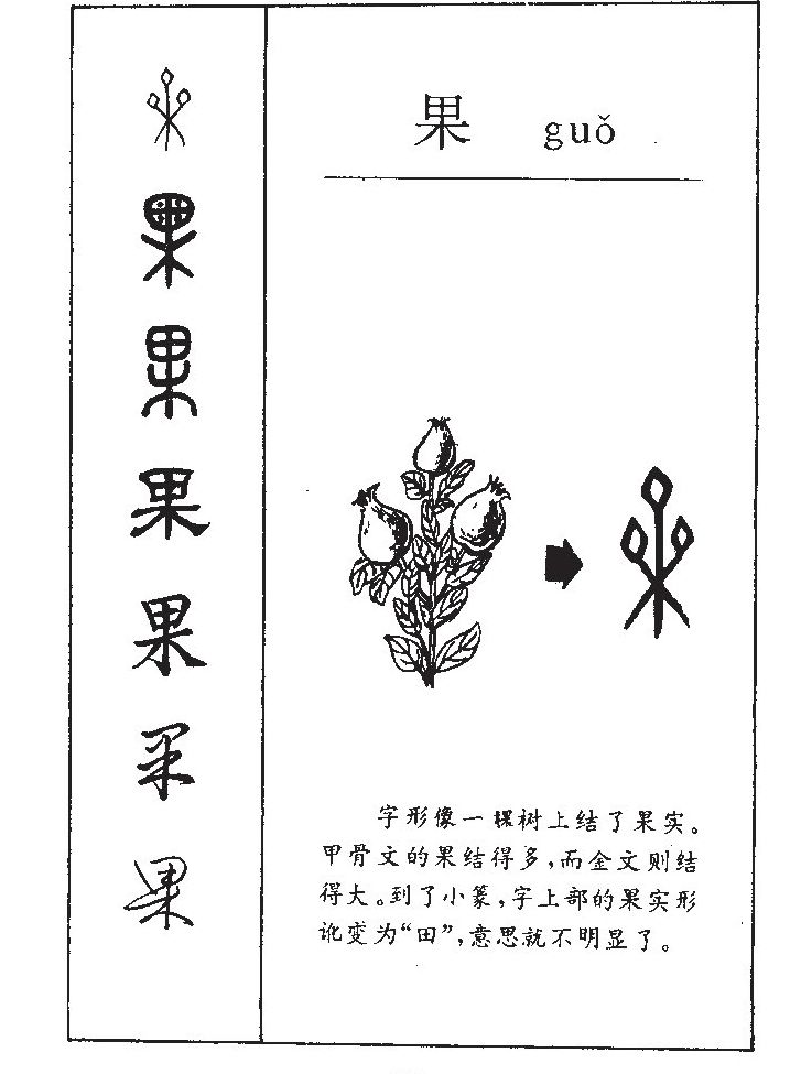 果字五行属什么-果字起名的寓意-果字意思