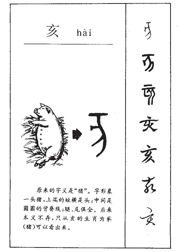 亥字五行属什么-亥字起名的寓意-亥字意思