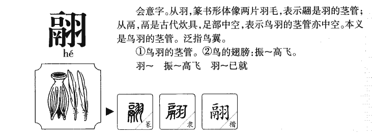 翮字五行属什么-翮字起名的寓意-翮字意思