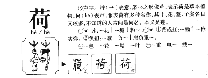荷字五行属什么-荷字起名的寓意-荷字意思