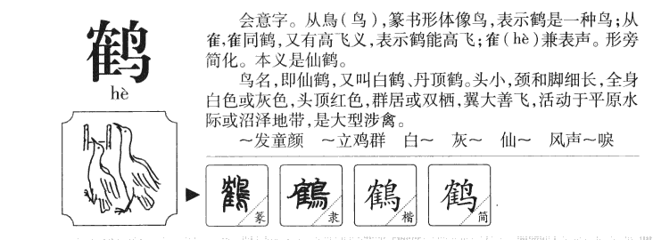 鹤字五行属什么-鹤字起名的寓意-鹤字意思