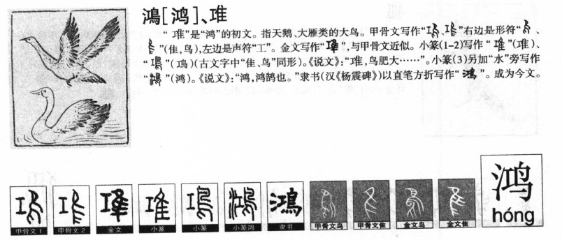 鸿字五行属什么-鸿字起名的寓意-鸿字意思