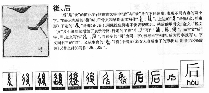 后字五行属什么-后字起名的寓意-后字意思
