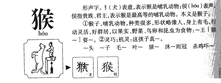猴字五行属什么-猴字起名的寓意-猴字意思