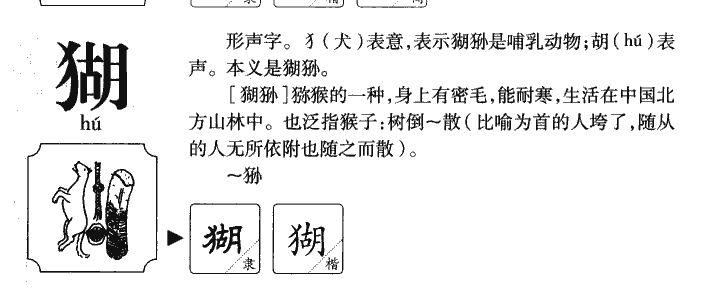 猢字五行属什么-猢字起名的寓意-猢字意思