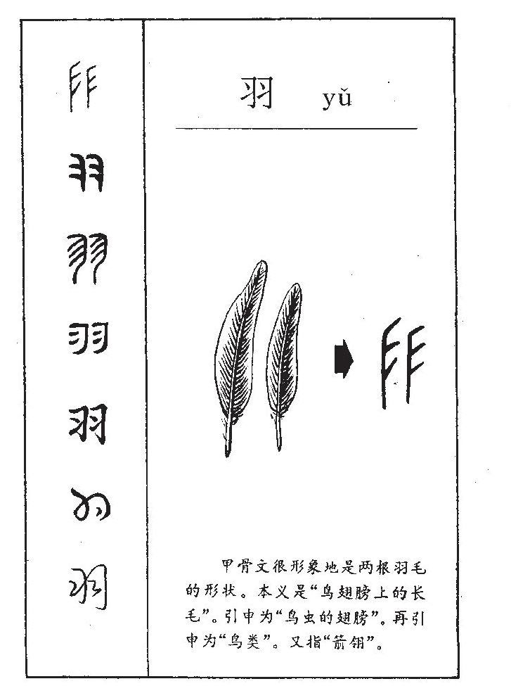 羽字五行属什么-羽字起名的寓意-羽字意思