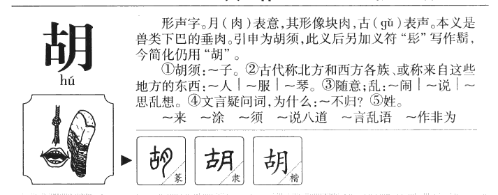 胡字五行属什么-胡字起名的寓意-胡字意思