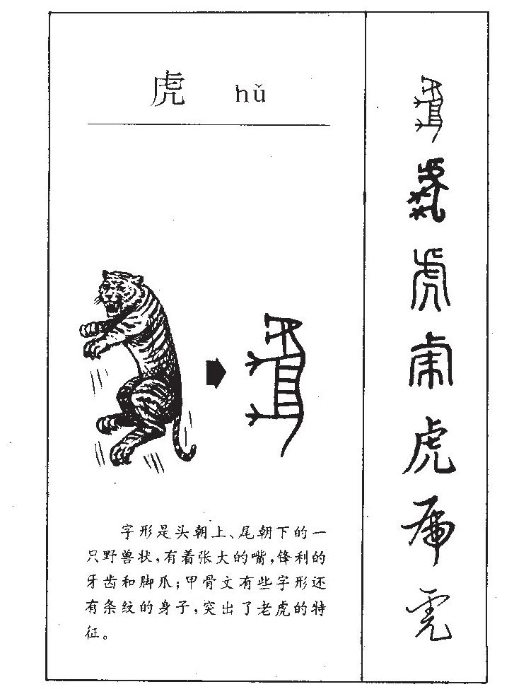 虎字五行属什么-虎字起名的寓意-虎字意思