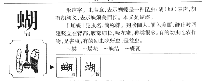 蝴字五行属什么-蝴字起名的寓意-蝴字意思