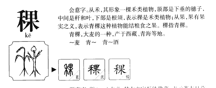 稞字五行属什么-稞字起名的寓意-稞字意思