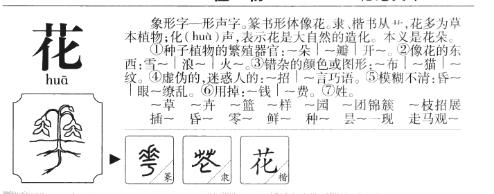 花字五行属什么-花字起名的寓意-花字意思