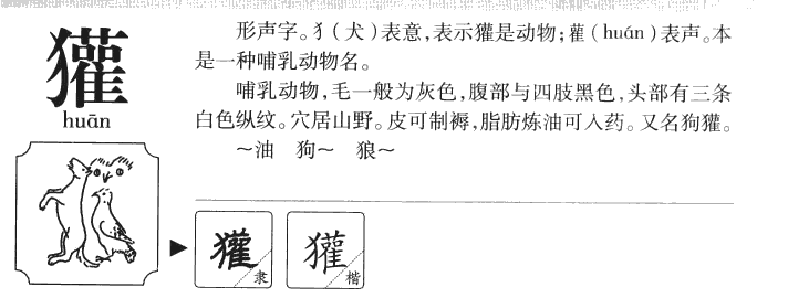 獾字五行属什么-獾字起名的寓意-獾字意思