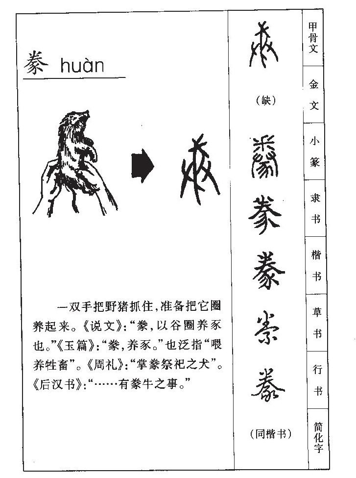 豢字五行属什么-豢字起名的寓意-豢字意思