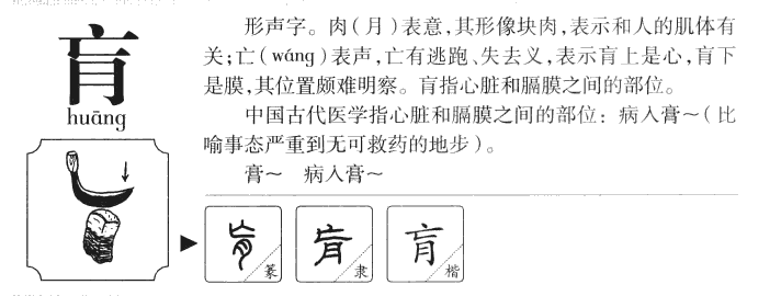 肓字五行属什么-肓字起名的寓意-肓字意思