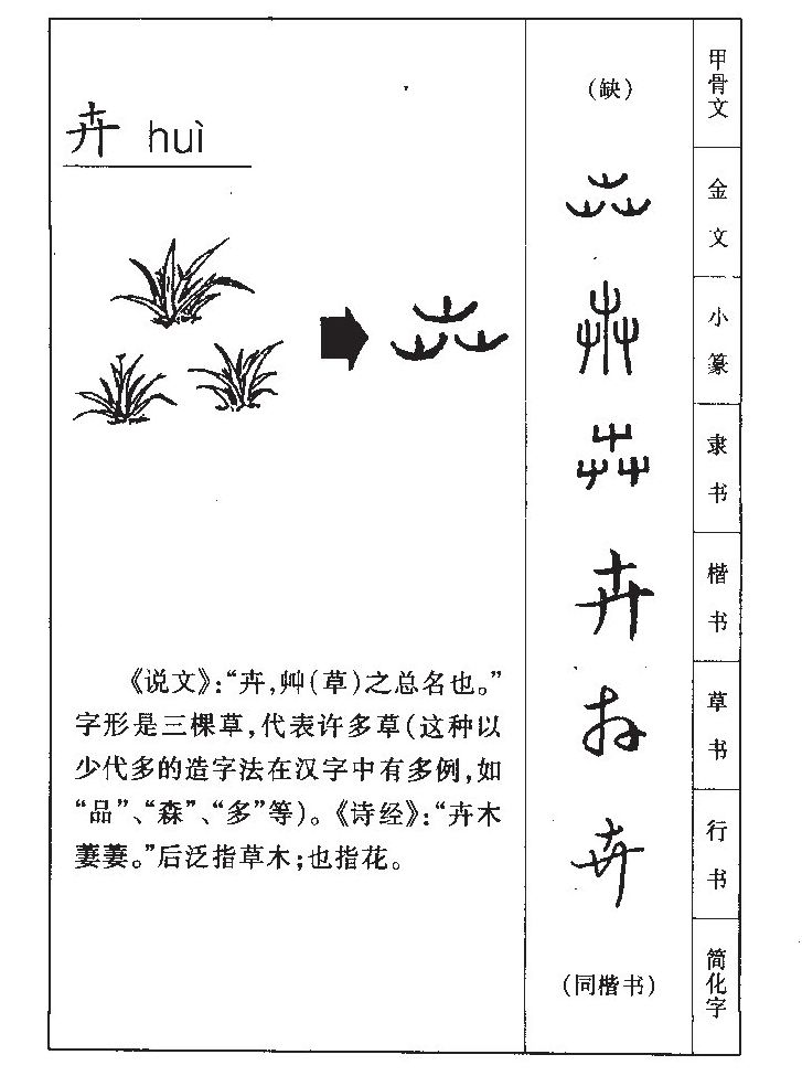 卉字五行属什么-卉字起名的寓意-卉字意思