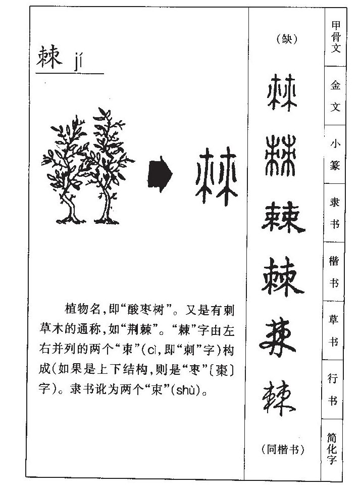 棘字五行属什么-棘字起名的寓意-棘字意思