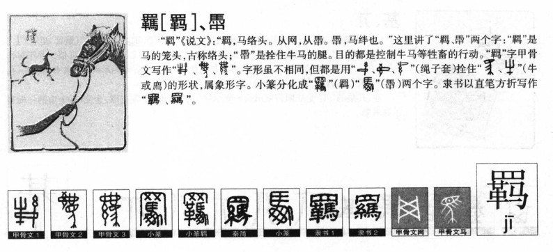 羁字五行属什么-羁字起名的寓意-羁字意思