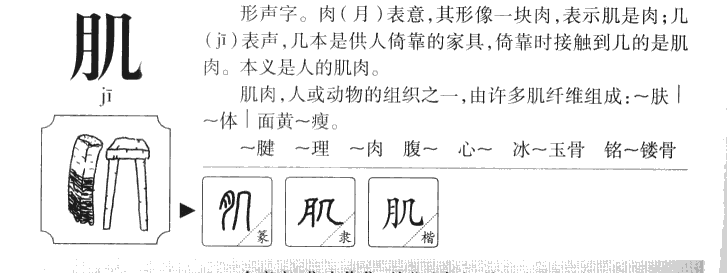 肌字五行属什么-肌字起名的寓意-肌字意思