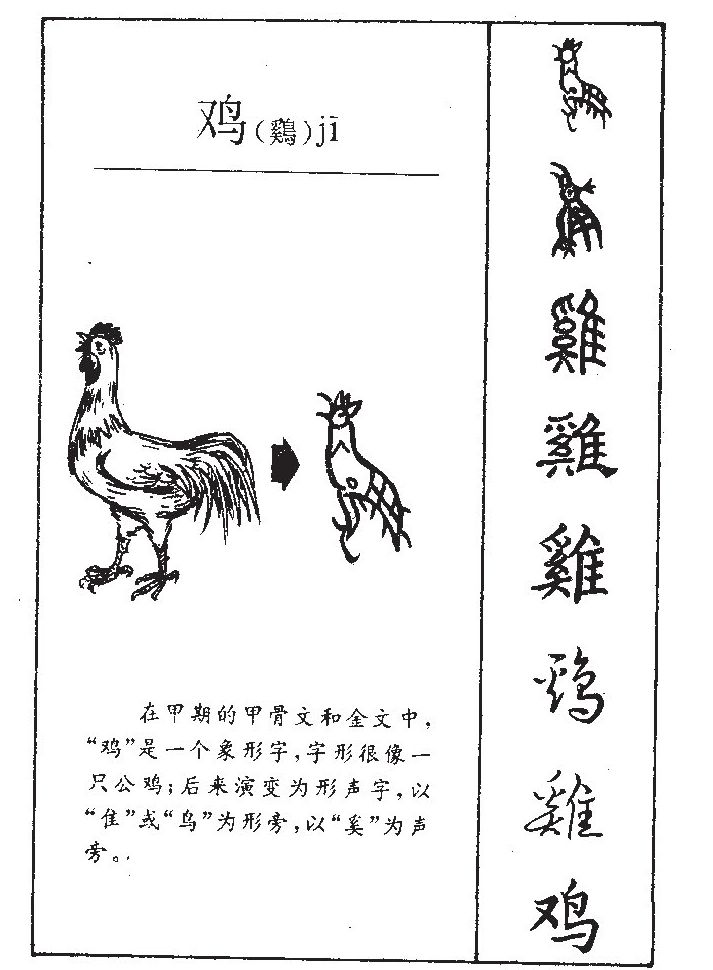 鸡字五行属什么-鸡字起名的寓意-鸡字意思