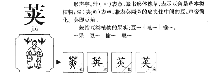 荚字五行属什么-荚字起名的寓意-荚字意思