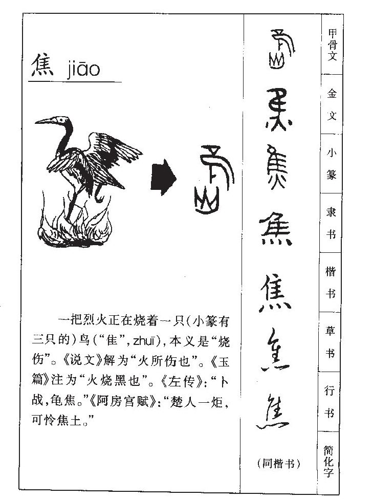 焦字五行属什么-焦字起名的寓意-焦字意思