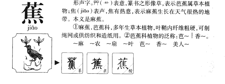 蕉字五行属什么-蕉字起名的寓意-蕉字意思