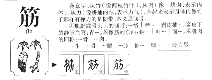 筋字五行属什么-筋字起名的寓意-筋字意思