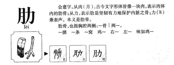 肋字五行属什么-肋字起名的寓意-肋字意思