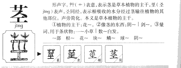 茎字五行属什么-茎字起名的寓意-茎字意思