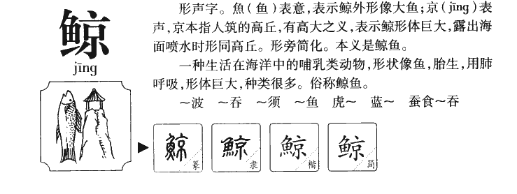 鲸字五行属什么-鲸字起名的寓意-鲸字意思