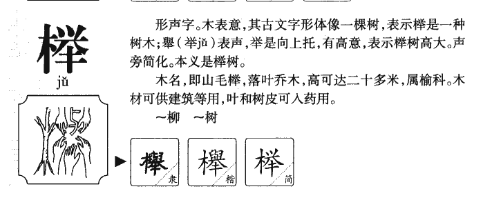 榉字五行属什么-榉字起名的寓意-榉字意思