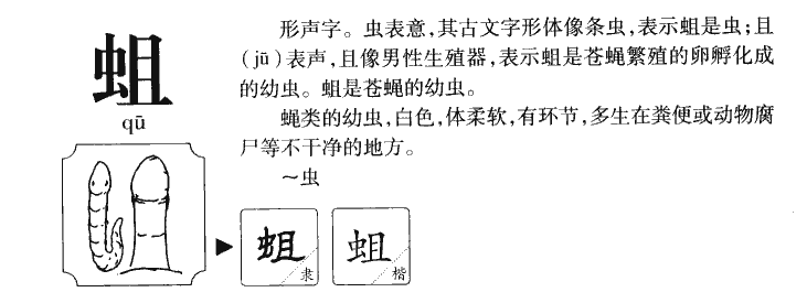 蛆字五行属什么-蛆字起名的寓意-蛆字意思