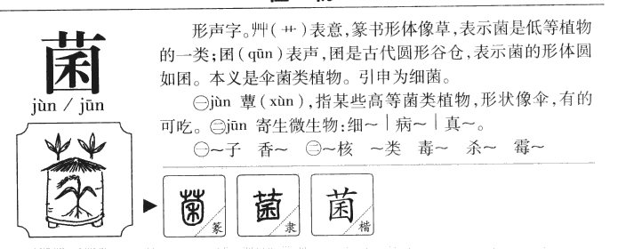 菌字五行属什么-菌字起名的寓意-菌字意思