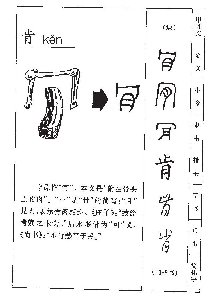 肯字五行属什么-肯字起名的寓意-肯字意思