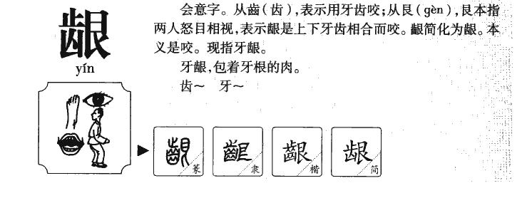 龈字五行属什么-龈字起名的寓意-龈字意思