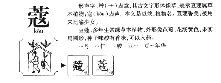 蔻字五行属什么-蔻字起名的寓意-蔻字意思