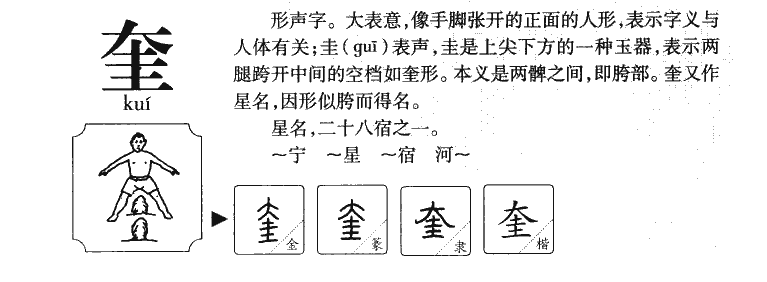 奎字五行属什么-奎字起名的寓意-奎字意思
