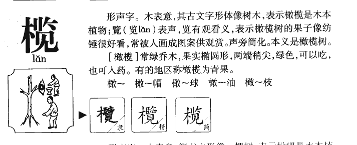 榄字五行属什么-榄字起名的寓意-榄字意思