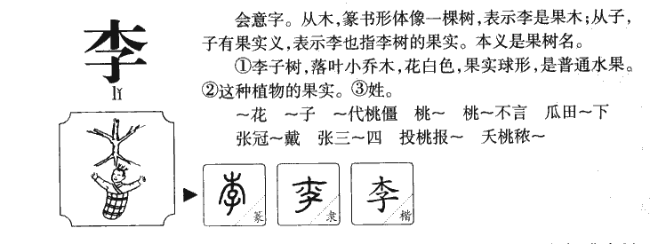 李字五行属什么-李字起名的寓意-李字意思