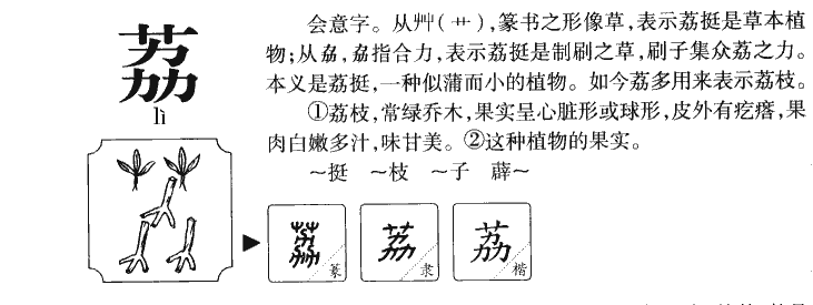 荔字五行属什么-荔字起名的寓意-荔字意思