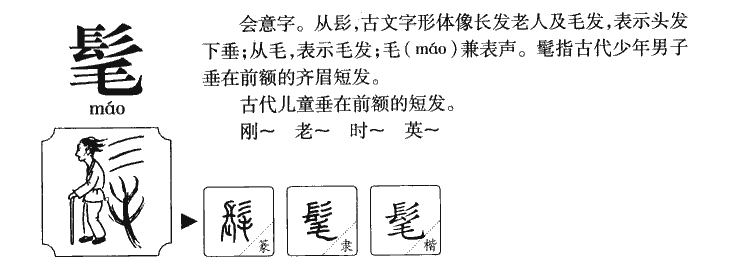 髦字五行属什么-髦字起名的寓意-髦字意思