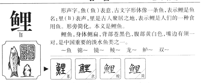 鲤字五行属什么-鲤字起名的寓意-鲤字意思