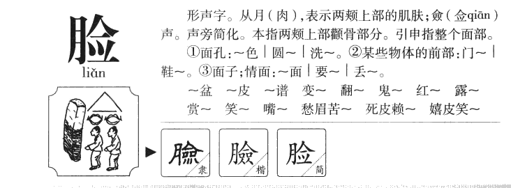 脸字五行属什么-脸字起名的寓意-脸字意思