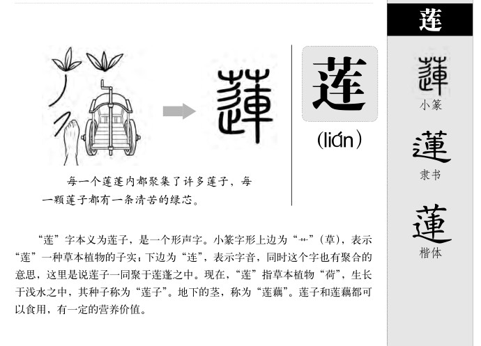 莲字五行属什么-莲字起名的寓意-莲字意思