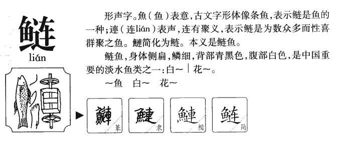 鲢字五行属什么-鲢字起名的寓意-鲢字意思