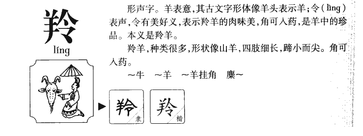 羚字五行属什么-羚字起名的寓意-羚字意思