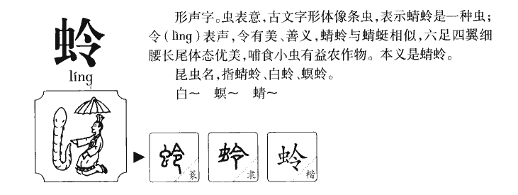 蛉字五行属什么-蛉字起名的寓意-蛉字意思